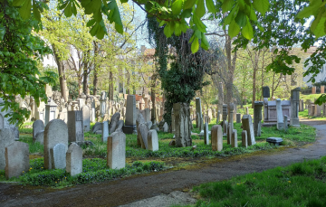 Old Jewish Cemetery in Žižkov Prague